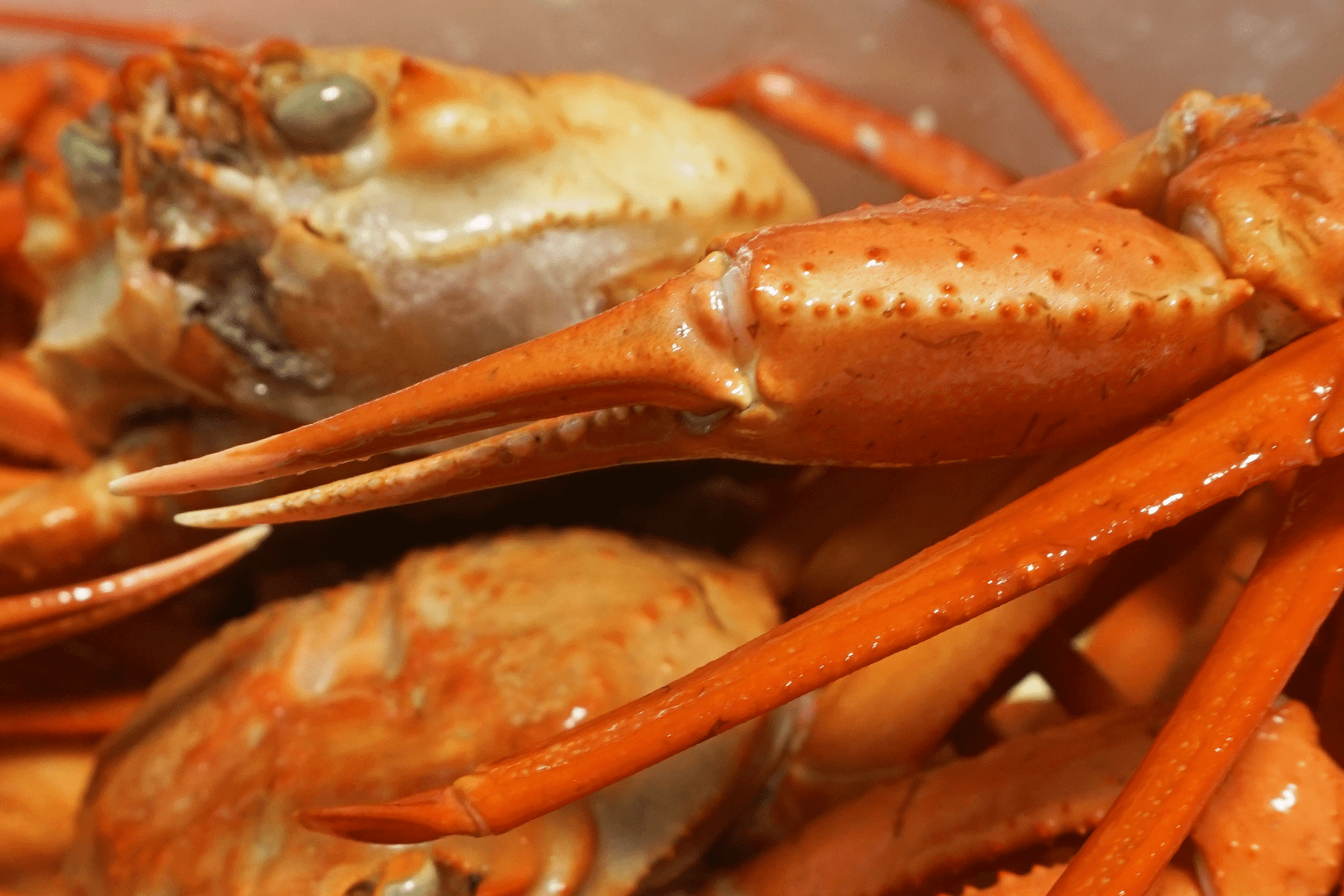 誠栄丸の蟹の爪